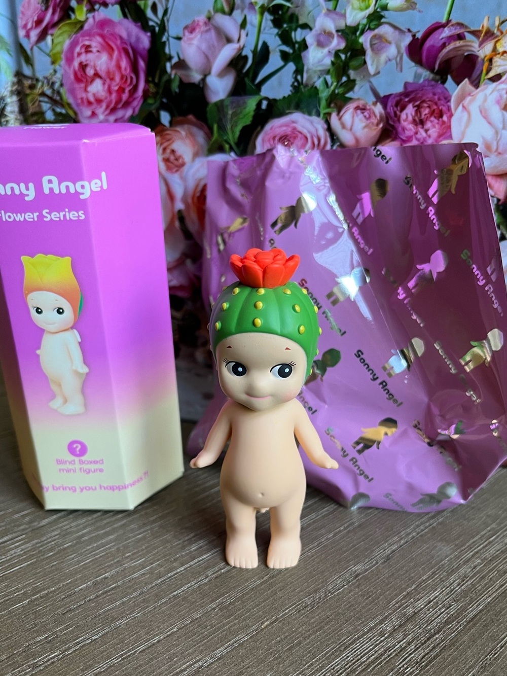 Sonny Angel CACTUS Figure AUTHENTIC Flower Series FACTORY Fresh Doll Dreams NEW